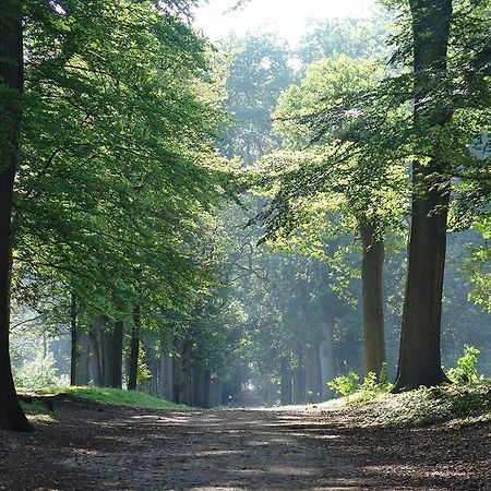 Luxe Safaritent Medley 5 persoons op Camping Rijsterbos Buitenkant foto