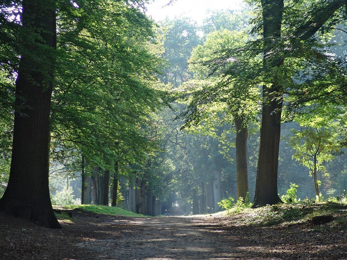 Luxe Safaritent Medley 5 persoons op Camping Rijsterbos Buitenkant foto