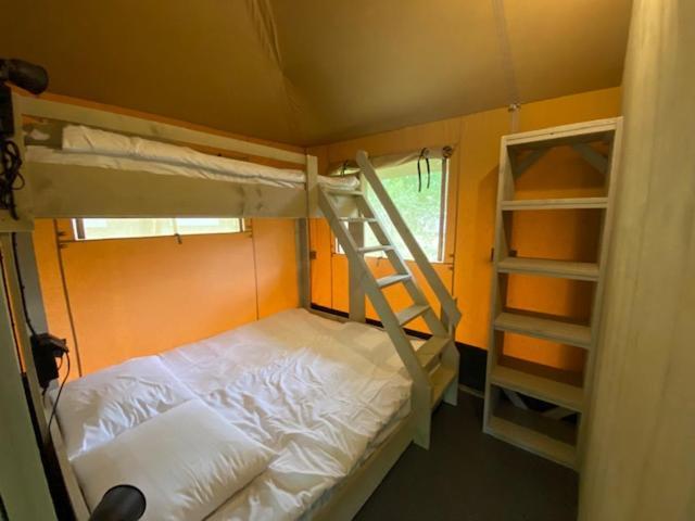 Luxe Safaritent Medley 5 persoons op Camping Rijsterbos Buitenkant foto